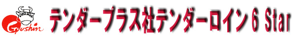 テンダープラス社テンダーロイン6Star